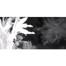 מצלמת שטח נסתרת עם ראיית לילה למרחקים גדולים וצפייה אונליין WSN990