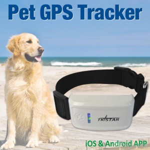מכשיר איתור כלבים ובעלי חיים PETRACKER866